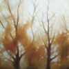 Blue Autumn