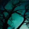 Low Light II