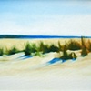 Sea Grass 1