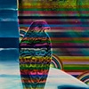 Rainbow Falcon