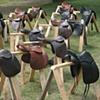 Saddle Fitting Seminar