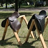 Saddle Fitting Seminar