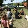 Saddle Fitting Seminar