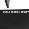 Single Session Sculptures