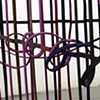 Tell Us Where The World Went: De Javu (detail)