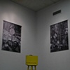 Installation shot from exhibition @ Focus Gallery. 
Gainesville, FL on campus of the University of Florida.