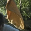 Still from Man vs. Tree