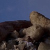 Mound 7