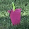 Still from Man vs. Tree