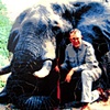 Elephant Trophy