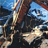 Cat Crane