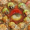 golden eyes