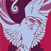 Foundation Graphics 2004-2005