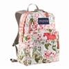 Jansport Back Pack