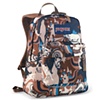 Jansport Back Pack
