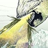 Teeth Of the Hydra: Greenland Album Cover