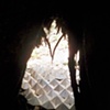 Geodesic Forest 