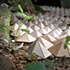 Geodesic Forest 