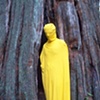 Yellow Diary 