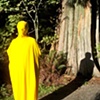 Yellow Diary 