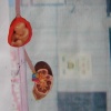 Key Organs
