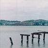 the  Carqinez straits