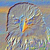 "Eagle Sun"