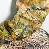 Discarded Landscape