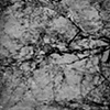 Dancing Fragments