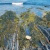 Island Imagery
