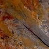 Landscaped Abstraction