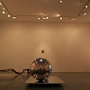 Untitled [En Wonder installation piece.]