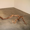 Untitled [En Wonder installation piece.]