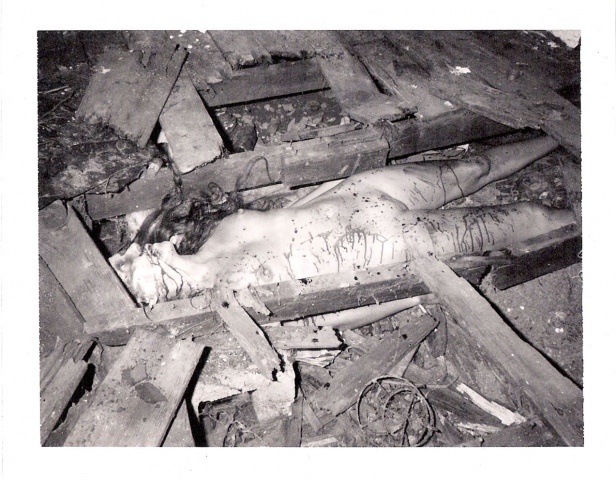 "the death of diana"