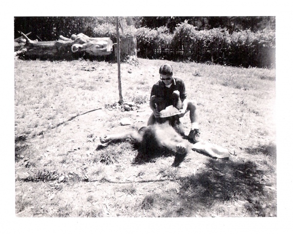 "changing time at the zoo"