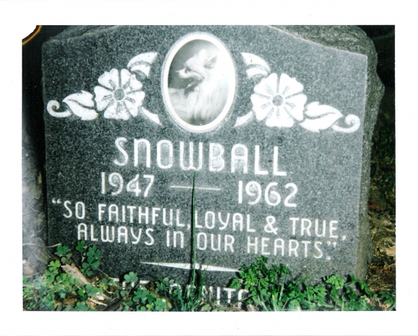 "Snowball"