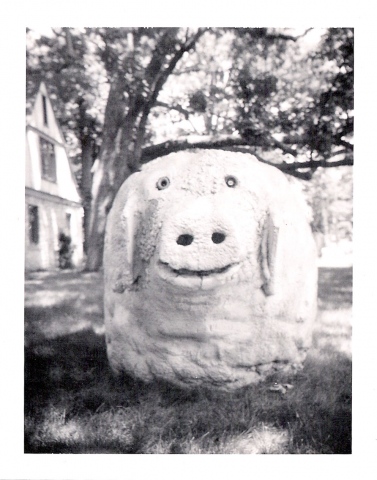 "pig in penn state"