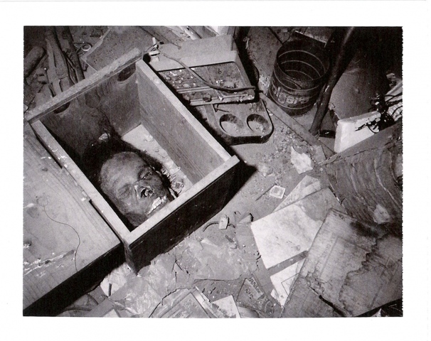 "Surprise on the Salton Sea"