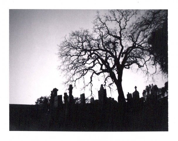 "san rafael cemetery"