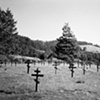 "Fort Ross Cemetery"