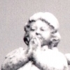 "angel in my corner"