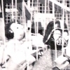 "Tijuana puppets"