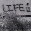 "Take back your life"