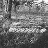 "the mattress"