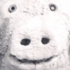 "pig in penn state"