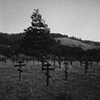 "Fort Ross Cemetery"