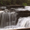Dupont Forest, NC 