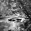 Black and White images
