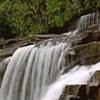 Dupont Forest Falls, NC 