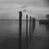 Manteo Pilings 